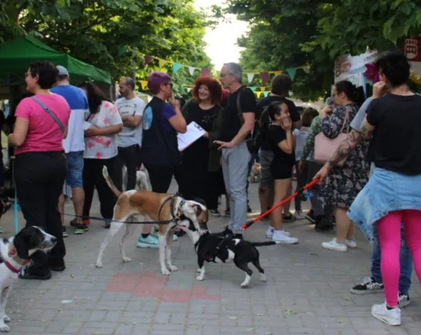 Feria Bienestar Animal