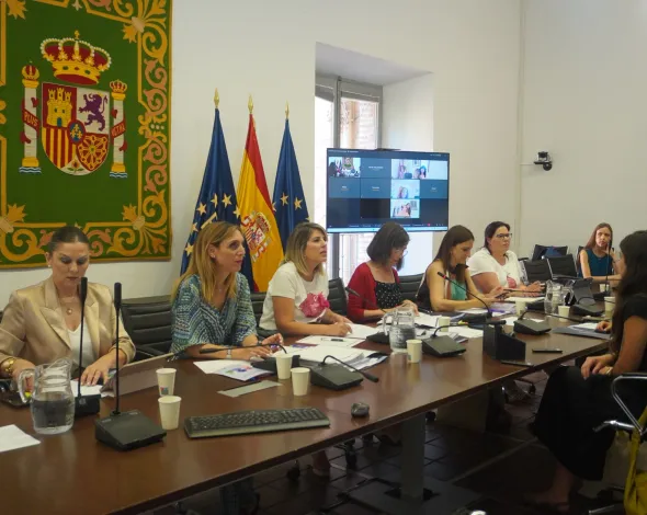 Reunión comisión lucha contra la violencia de género de la FEMP