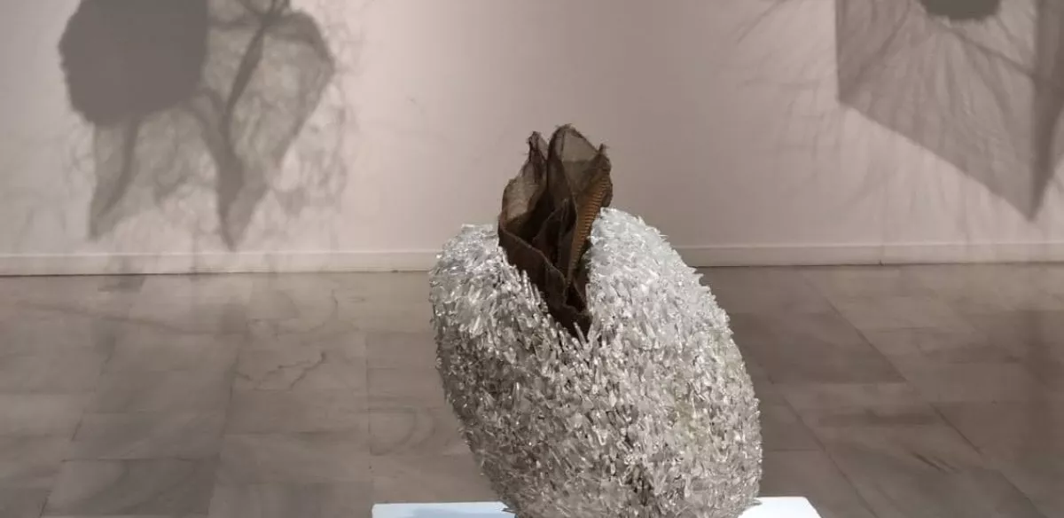 Exposición de Vidrio: "Corazón salvaje". MAVA