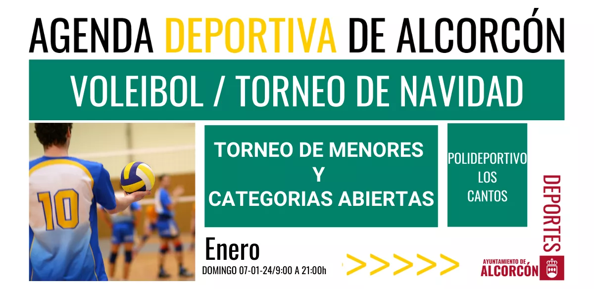 VOLEIBOL / TORNEO DE NAVIDAD