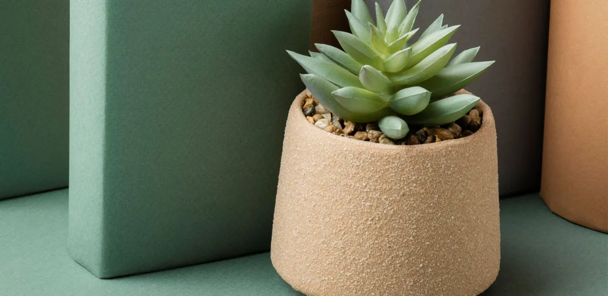 CELEBRACIÓN DIA DEL LIBRO