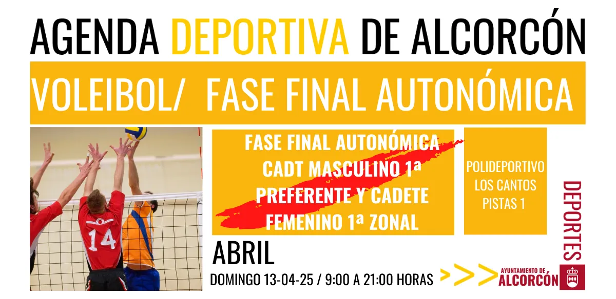 VOLEIBOL / FASE FINAL AUTONÓMICA 