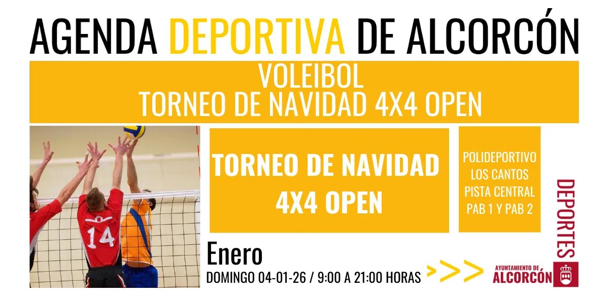 VOLEIBOL / TORNEO DE NAVIDAD 4X4 OPEN