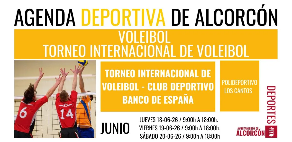 VOLEIBOL