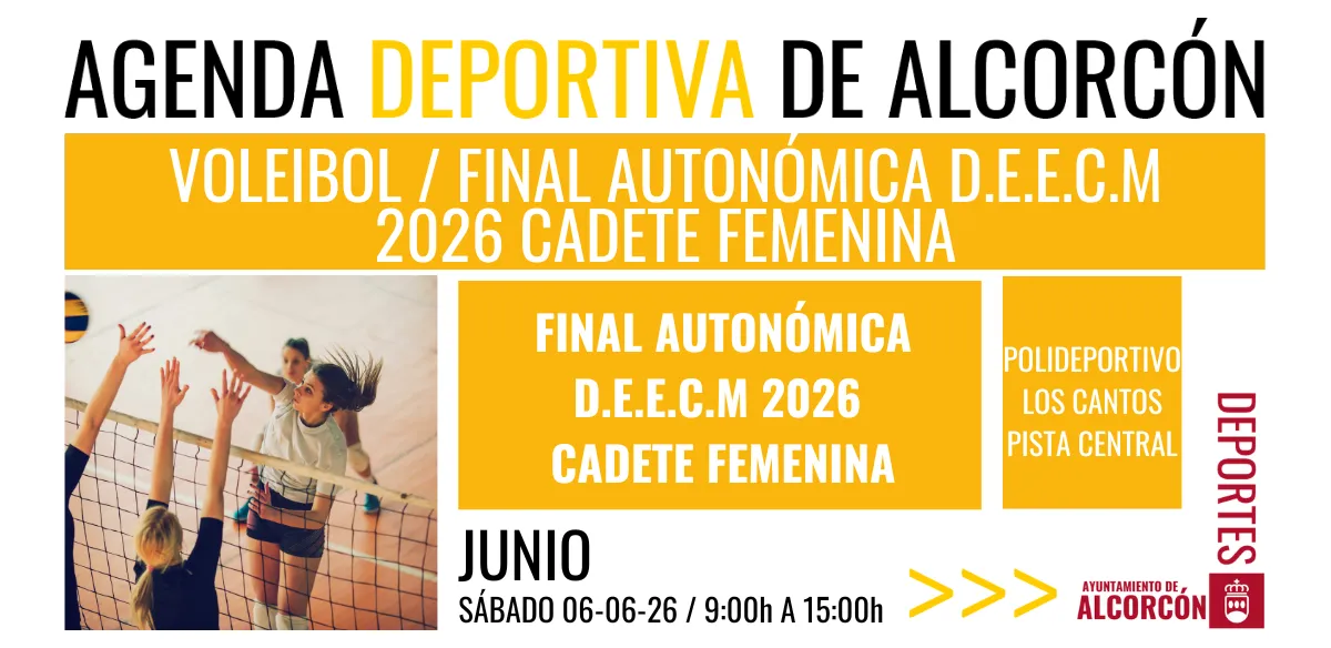 VOLEIBOL