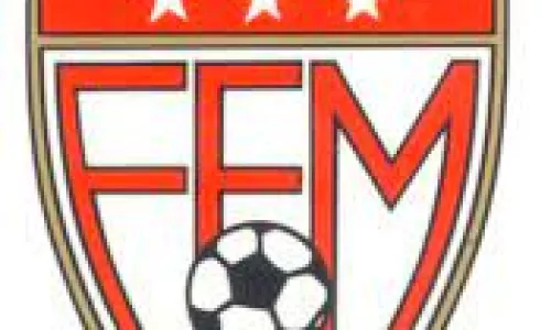 logo ffm