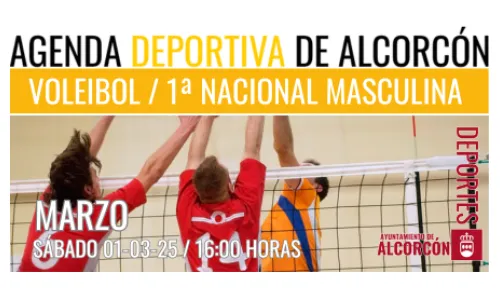 VOLEIBOL / 1ª NACIONAL MASCULINA 