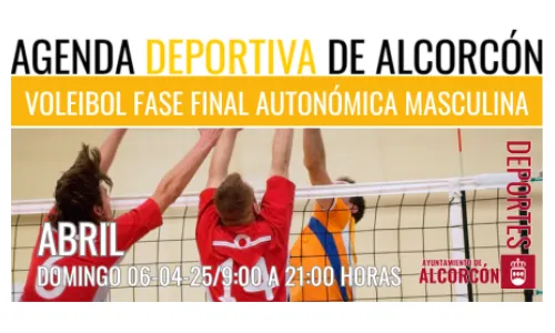 VOLEIBOL / FASE FINAL AUTONÓMICA MASCULINA
