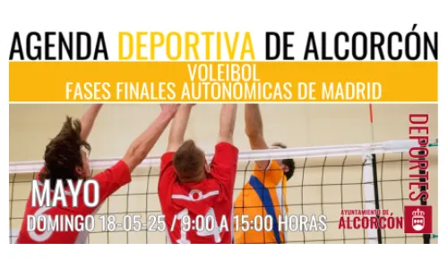 VOLEIBOL / FASES FINALES AUTONÓMICAS DE MADRID