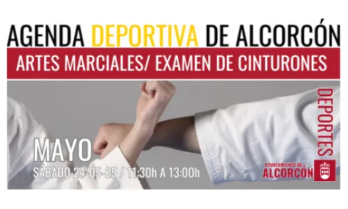 ARTES MARCIALES / EXAMEN DE CINTURONES 