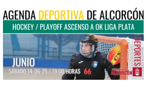HOCKEY PATINES/ PLAYOFF ASCENSO A OK LIGA PLATA