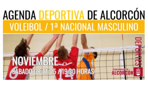 VOLEIBOL/ 1ª NACIONAL MASCULINO