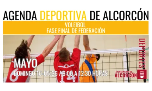 VOLEIBOL / FASE FINAL DE FEDERACIÓN 