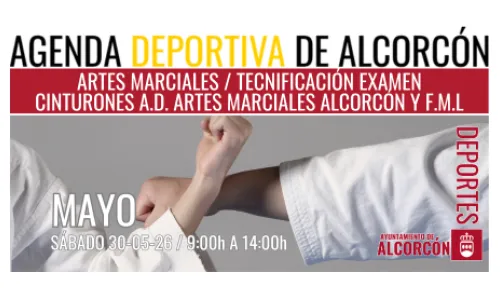 ARTES MARCIALES 