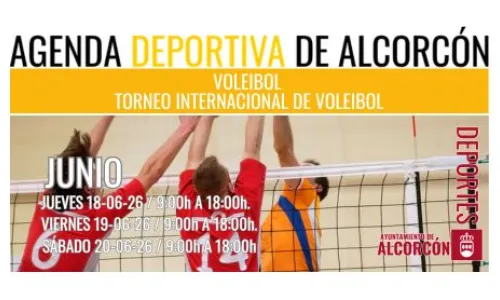 VOLEIBOL