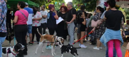 Feria Bienestar Animal