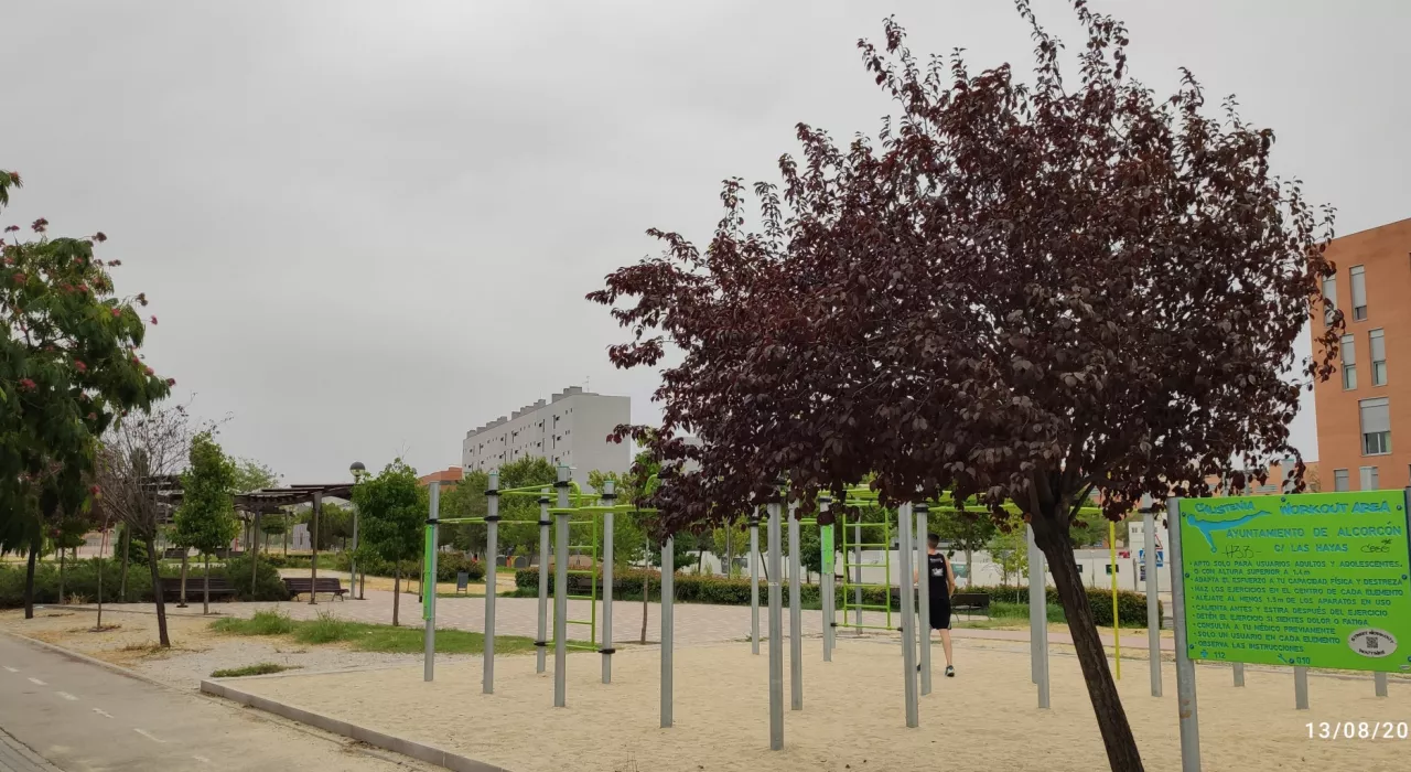 діяльності