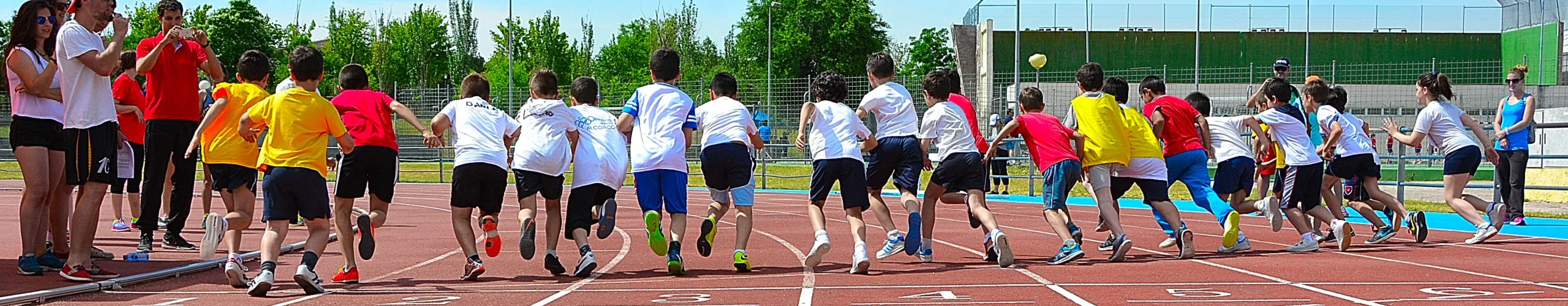 Departamentul de Sport