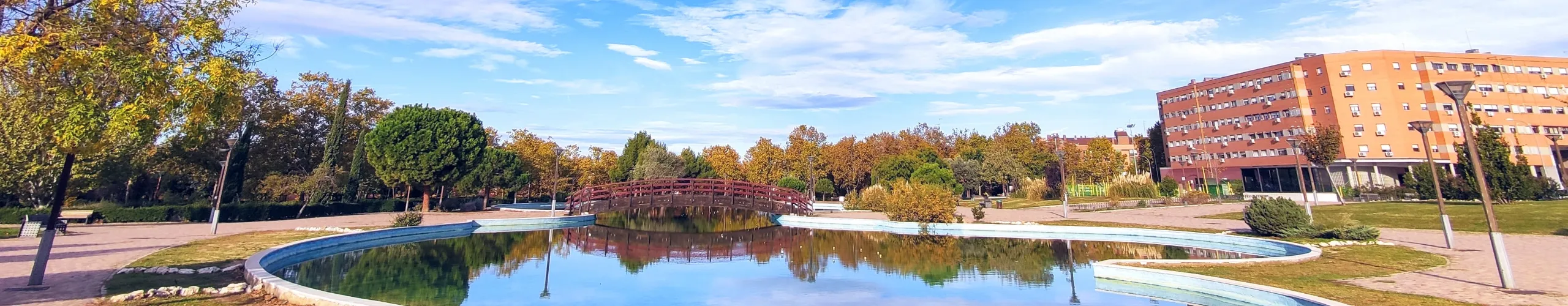parque con una laguna