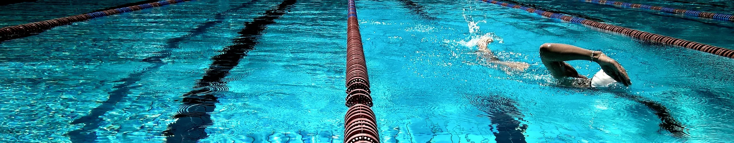 Natación adulto