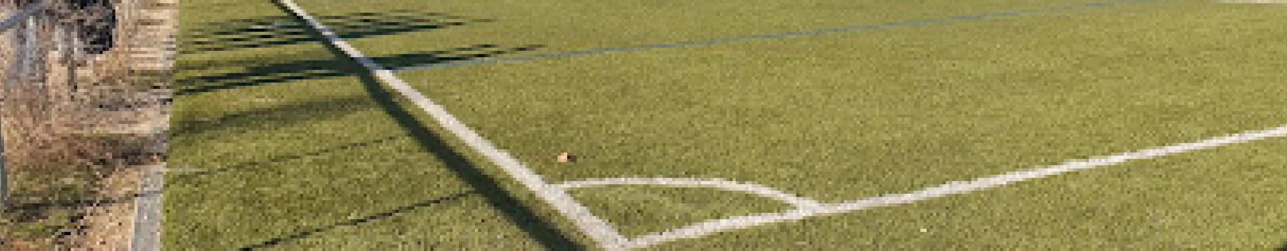 Campo de Fútbol Vicente del Bosque