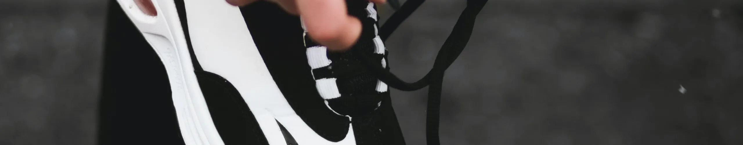 actividades mayores verano