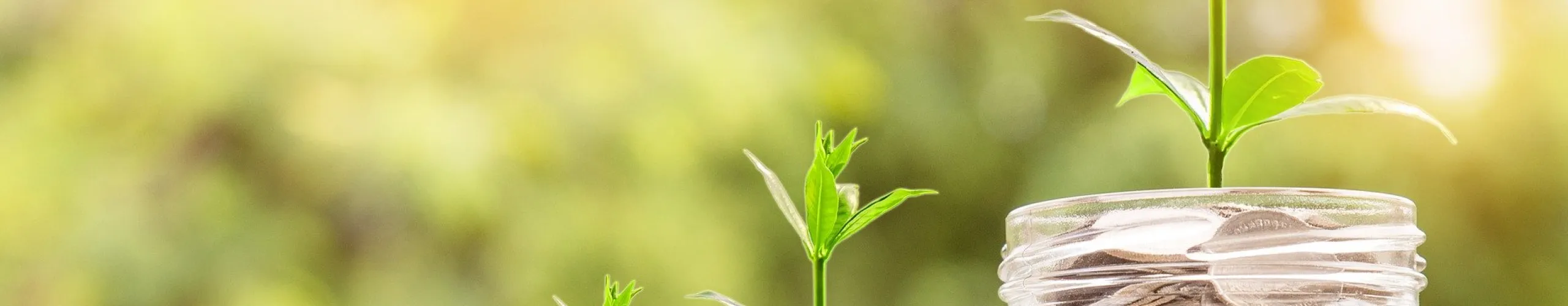 Aide à l'installation d'énergie solaire