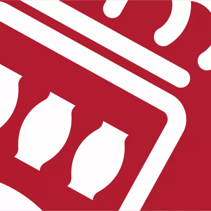 Luis Miguel Palacios Arduengo