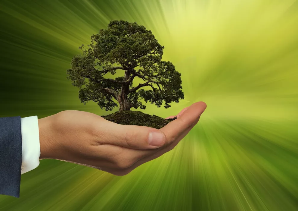Sostenibilidad arbol